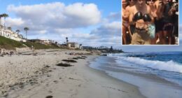 Violent teen âfight clubâ on SoCal beach draws hundreds of bloodthirsty spectators